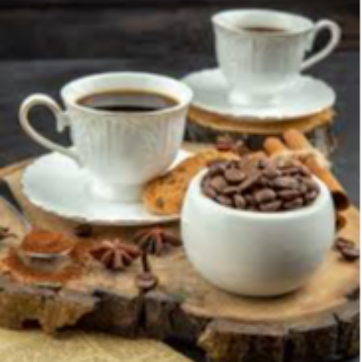 vega-banner1