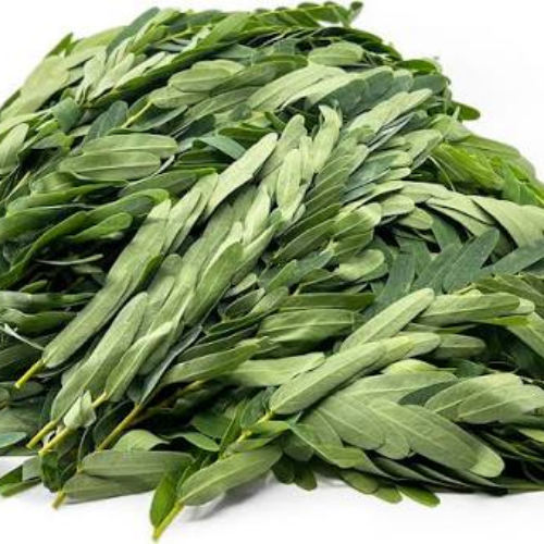 Akatthi Leaf