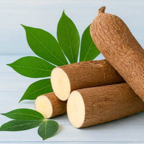 Cassava root